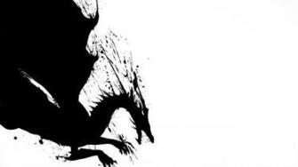 White And Black Dragons Wallpaper 2d Dragon