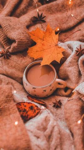 Charlotte Kempe On Mixade F Rger Cute Fall Wallpaper