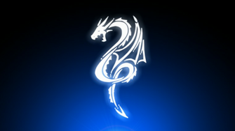 White Dragon Desktop And Mobile Wallpaper Wallippo