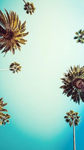 Wallpaper iPhone Summer Beach