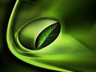 Green 3d Wallpaper Background