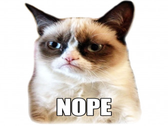 Cat Meme Quote Funny Humor Grumpy Wallpaper HD