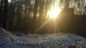 Does Daylight Saving Time Reduce Depression And Sad
