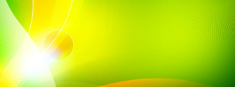 Lime Green Cover