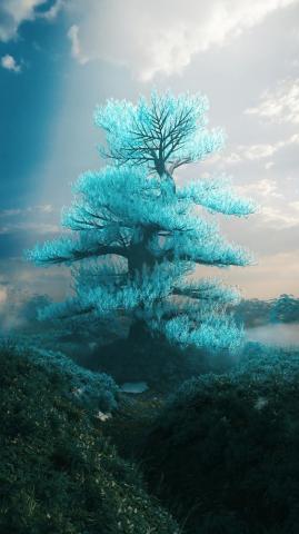 Peace Tree Wallpaper Top Background
