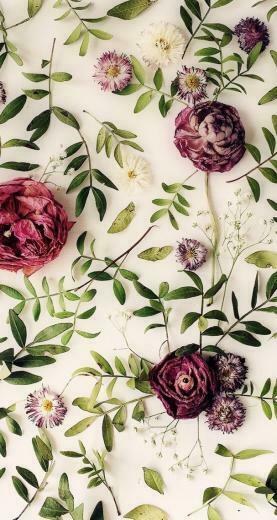 Nature Wallpaper iPhone Flowers In Floral