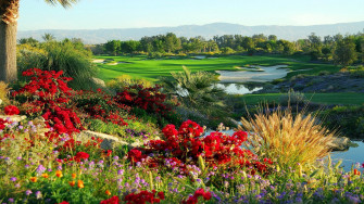 Golf Course Wallpaper