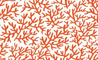 Staghorn Reef Coral Wallpaper For Walls