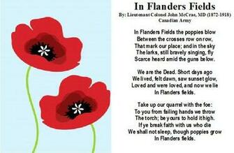 American Legion Auxiliary Poppy Image Search Results