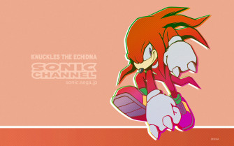 Knuckles The Echidna Wallpaper
