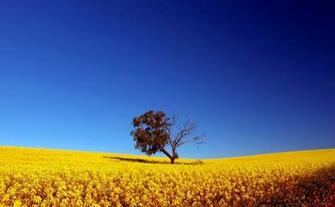 Beautiful Pictures Of Nature Slideshow Best Wallpaper Background