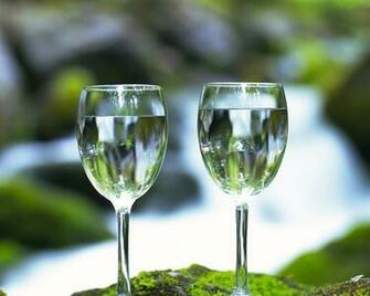Two Wine Glass Nature Wallpaper HD