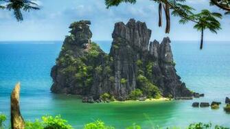 Wallpaper New Caledonia Pacific Ocean Island Trees Cliff