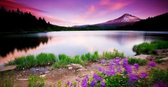 Nature Windows Wallpaper Full HD Desktop