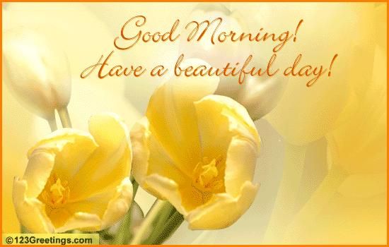 Good Morning Beautiful Mobile Wallpaper