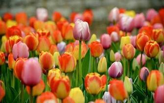Ultra HD Wallpaper Best Quality High Definition