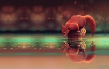 Wallpaper Stream Walnut Art Squirrel Children S Acorn Cyril