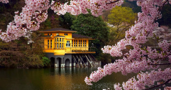 Japanese Culture Desktop Wallpaper