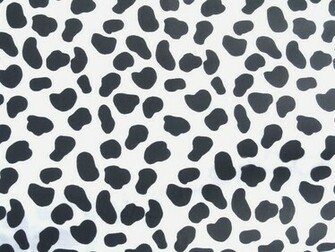Dalmatian Dog Invitat