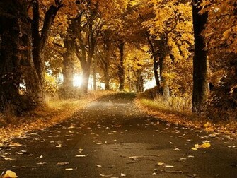 Autumn Road Desktop Wallpaper