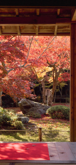 Japanese Aesthetic iPhone Wallpaper