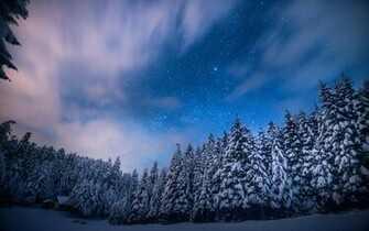 Trees Stars Night Snow Winter Forest Sky Clouds Landscapes Wallpaper