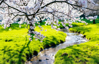 Aesthetic Spring Wallpaper
