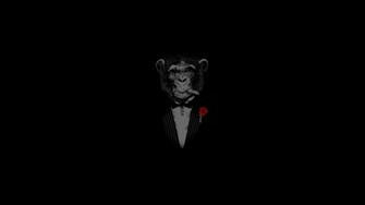 Dark Humor Monkey Wallpaper