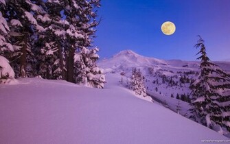 Snow Scenes Wallpaper