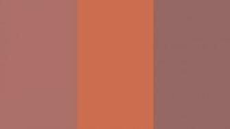 Copper Penny Red And Rose Solid Three Color Background