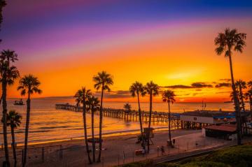 Wallpaper California Usa San Clemente Beach Nature Palm Trees