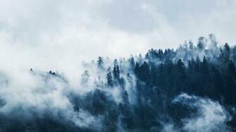 Mist Wallpaper Image Group