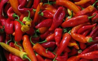 Red Peppers Wallpaper