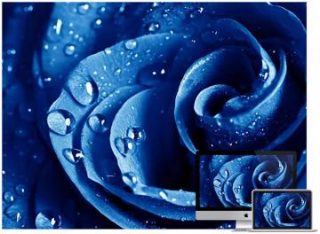 Beautiful Flowers Wallpaper To
