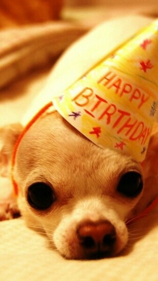 Happy BirtHDay Funny