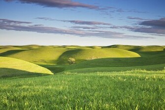 Green Hills California HD Wallpaper Wallpapertube