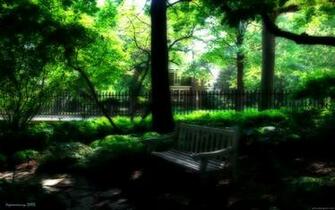 HD Wallpaper Widescreen Photgoraphy Desktop Background Nature