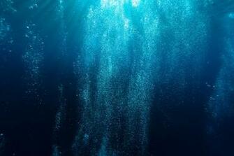 Underwater Image Stock Photos On