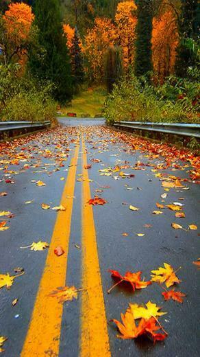 HD Wallpaper Nokia For Lumia Full Widescreen Desktop