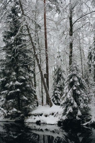 Snow Aesthetic Picture Wallpaper