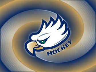 Fgcu Hockey
