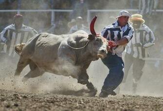 Rodeo Wallpaper HD
