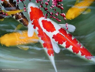 Koi Fish Wallpaper HD Pictures In High Definition Or