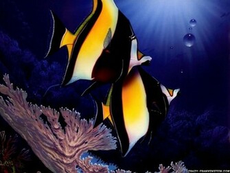 Fish Wallpaper
