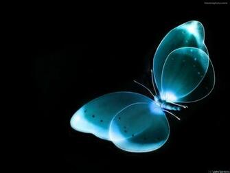 Turquoise Butterfly Background Crystals