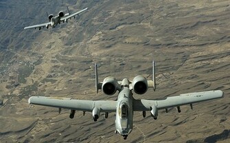 Warthogs