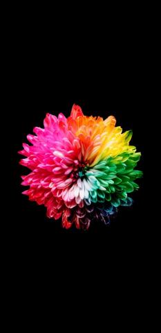 Amoled Wallpaper Colourful iPhone Samsung