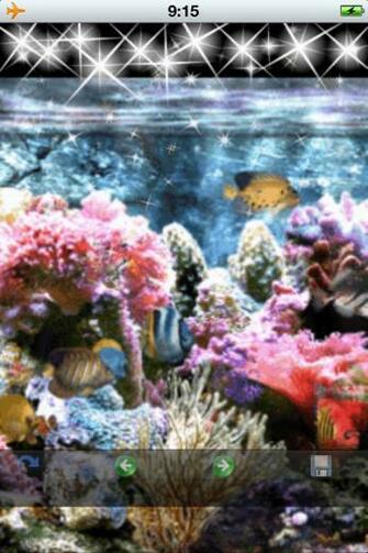 Animated Wallpaper For iPhone iPad New