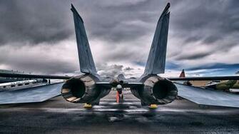 Tomcat HD Wallpaper Pictures