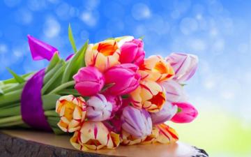 Colorful Flowers Wallpaper HD Net